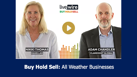 Buy Hold Sell: All weather businesses
